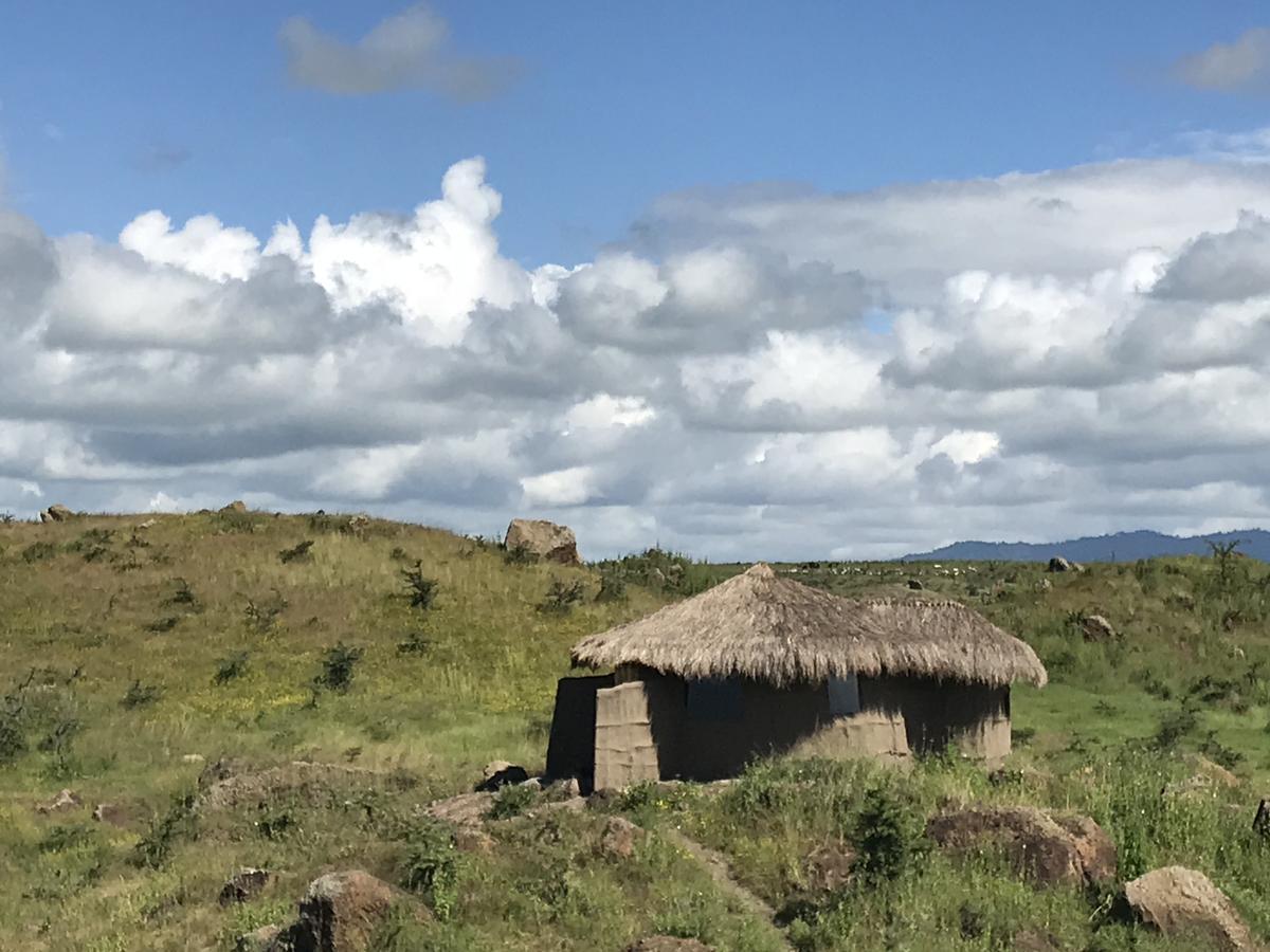Osiligilai Maasai Lodge Sanya Juu Екстериор снимка